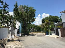 Bukit Loyang Estate (D17), Semi-Detached #216496981